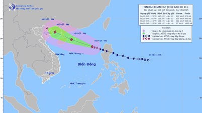 URGENT STORM NEWS (Storm No. 11): At 4:00 a.m. on October 4, the center of the storm was about 570km East-Northeast of Hoang Sa special zone.