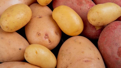 Which is better: Sweet potato or potato? Tangerine or orange?