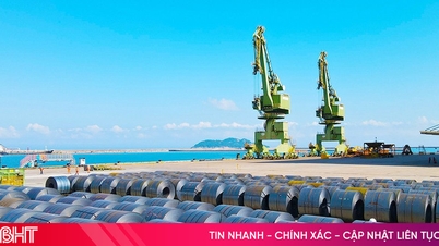 Products "made in" Ha Tinh are present in more than 20 countries around the world.
