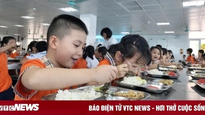 Hanoi sets up a surprise inspection team for boarding meals after the 'magic' vegetable scandal