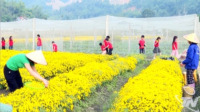 Open direction for agricultural tourism experience