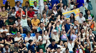 Le tournoi international de pickleball PPA Tour Asia Vietnam Cup établit un record du monde Guinness
