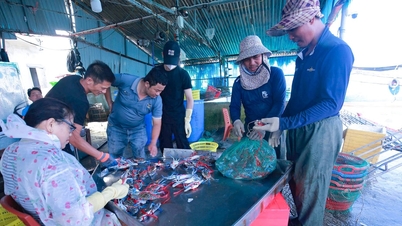 ຊາວ​ປະ​ມົງ Nghe An ​ໄດ້​ປະ​ທະ​ກັບ​ກະ​ປູ​ສີຟ້າ​ຢ່າງ​ໃຫຍ່​ຫຼວງ ຫຼັງ​ຈາກ​ລົມ​ພະຍຸ​ເລກ 10