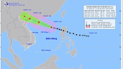 11호 폭풍, 레벨 14 돌풍, 황사 특별 구역에서 390km