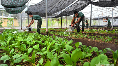 ຜ່ານ​ຜ່າ​ຄວາມ​ຫຍຸ້ງຍາກ​ເພື່ອ​ເພີ່ມ​ທະວີ​ການ​ຜະລິດ ​ແລະ ປັບປຸງ​ຊີວິດ​ການ​ເປັນ​ຢູ່