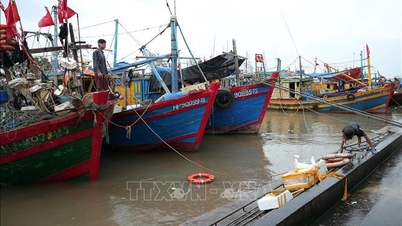 Hai Phong bans many activities in river mouths, coastal areas, and offshore