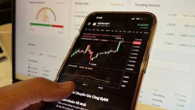 New opportunities from piloting the crypto asset market