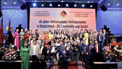Comunitatea vietnameză sărbătorește 45 de ani de cooperare în domeniul muncii Vietnam-Germania