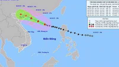 Storm No. 11 (Matmo), level 15 gusts, in the northern East Sea area
