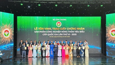 Im Jahr 2025 wurde in Tay Ninh zum sechsten Mal ein Produkt als typisches nationales ländliches Industrieprodukt anerkannt.