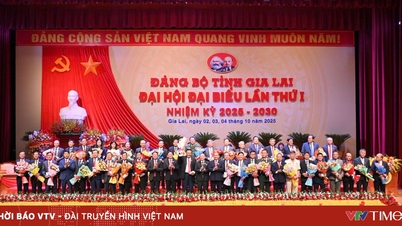 Xây dựng Gia Lai thành trung tâm công nghiệp năng lượng tái tạo của vùng