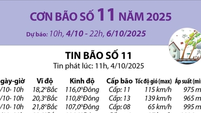 Đường đi của bão số 11 năm 2025