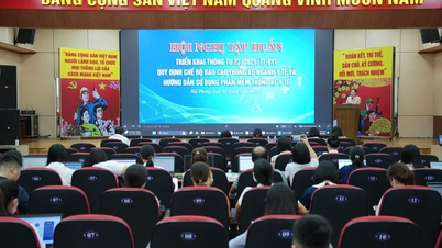Hai Phong : Formation à la mise en œuvre de la circulaire 23 et du logiciel de statistiques médicales pour plus de 200 agents