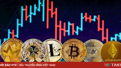 Vietnam tests domestic digital asset exchanges, restricts "underground" exchanges