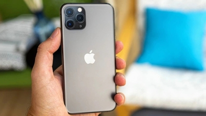 iPhone 11 Pro Max tràn lan thị trường dù đã thành "đồ cổ"
