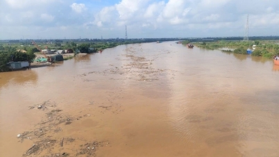 Hai Phong proaktívan megakadályozza a felsőbb szakaszokról érkező áradásokat