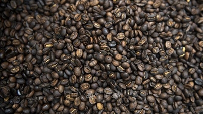 Mercado agrícola: razones del aumento de los precios mundiales del café.