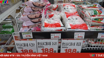 Global food commodity prices fell in September