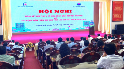 Tổng kết hợp tác y tế giữa Bệnh viện Đại học Y Hà Nội và ngành Y tế Lào Cai, giai đoạn 2023 - 2025