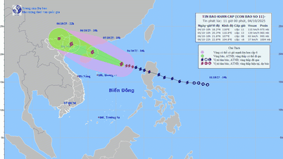 Nghe An répond de manière proactive à la tempête n° 11, qui devrait provoquer de fortes pluies généralisées.