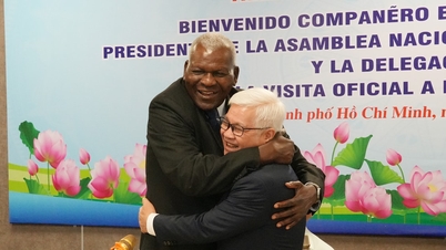 Stärkung der besonderen Solidarität zwischen Vietnam und Kuba