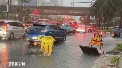 Hanoi urgently implements plans to prevent storm No. 11