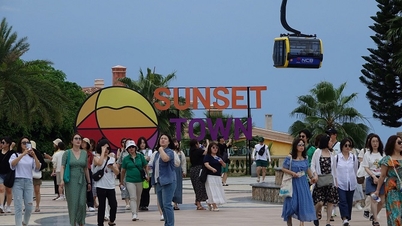 Promoting the 'quad resolutions' for An Giang to achieve double-digit growth