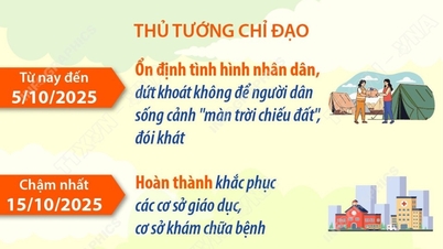 Một số nhiệm vụ cấp bách khắc phục hậu quả bão số 10 và mưa lũ sau bão
