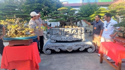 Gần 200 tác phẩm tham gia triển lãm sinh vật cảnh khu vực Vĩnh Bảo