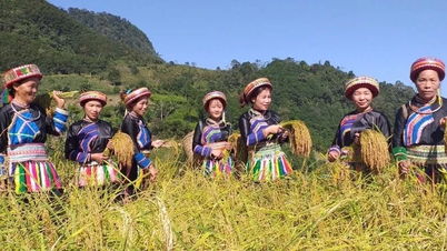 Phát huy vai trò tiên phong, gương mẫu và năng lực sáng tạo