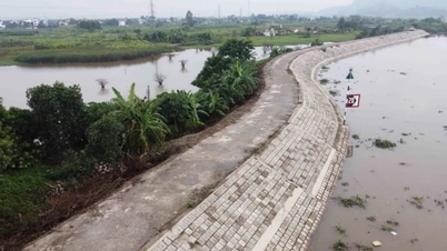 Responding to storm No. 11: Hai Phong on duty 24/7, ready to protect the dike system