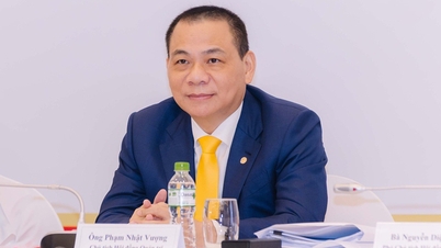 Domnul Pham Nhat Vuong dorește să contribuie cu aproape 10.600 miliarde VND în plus la compania de electricitate.