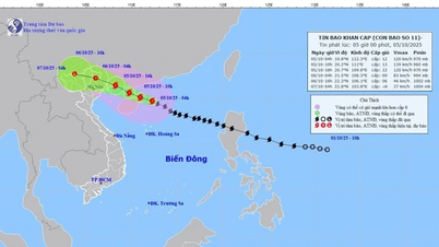 Sturm Nr. 11 hat die Stufe 12 erreicht und erreicht Böen bis zur Stufe 15, etwa 550 km von Quang Ninh entfernt.