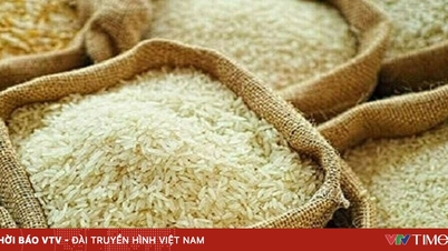 タイの米輸出価格は9年ぶりの低水準