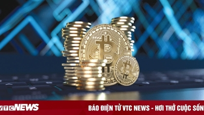 Panggilan 'orang besar' yang baru sahaja menubuhkan syarikat aset kripto di Vietnam