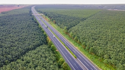 Rozpoczęto budowę wiaduktu nad zatoką Rach Gia o wartości ponad 3900 mld VND; zatwierdzono inwestycję w projekt pola golfowego o wartości 629 mld VND