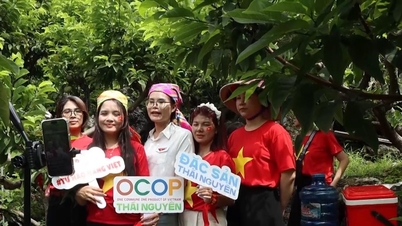ថៃ ង្វៀន ងើបឡើងក្នុងយុគសម័យថ្មី អត្ថបទចុងក្រោយ៖ ឆ្ពោះទៅរកបង្គោលកំណើនឌីជីថលក្នុងតំបន់