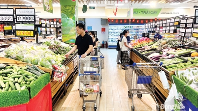 環境に優しくクリーンな製品の多様な「棚」