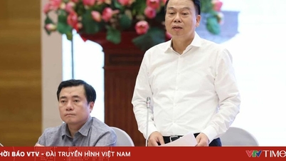 Tối đa 5 doanh nghiệp được cấp phép thí điểm giao dịch tài sản mã hoá