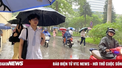 Schools in Hai Phong are allowed to decide for students to stay home to avoid storm Matmo.