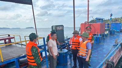 Quang Ninh mobiliseert meer dan 4.000 soldaten om te reageren op storm nr. 11