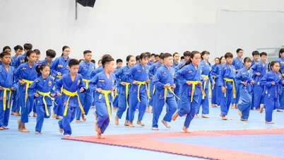 Despertando o orgulho nas artes marciais vietnamitas