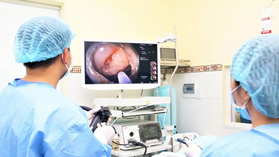 AI application in endoscopy diagnosis and treatment of digestive diseases