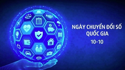 Tuyen Quang: Dijital dönüşümü topluma yaymak ve tanıtmak için birçok faaliyet