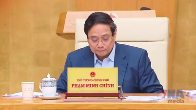 Phấn đấu hoàn thành nâng cao các chỉ tiêu năm 2025