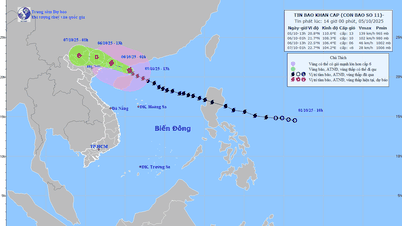 Bão Matmo cách đất liền 290km, từ đêm 5/10 khu vực ven biển Hải Phòng có gió mạnh cấp 8-9, giật cấp 10-11