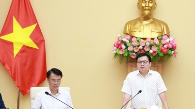 Bakan Yardımcısı Truong Thanh Hoai: Bitkisel yağ standartlarını geliştirirken insanların sağlığını ön planda tutuyoruz