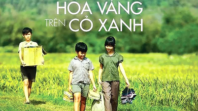 6 Vietnamese films selected to be shown in France
