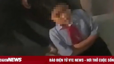 Clarifying the clip of a female student in Hue beating up her friend while many people cheered on her