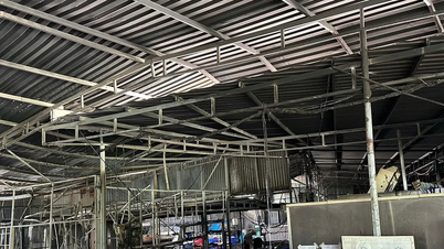 ลัมดง: ไฟไหม้โรงซักรีดที่สร้างผิดกฎหมายบนที่ดินเกษตรกรรม